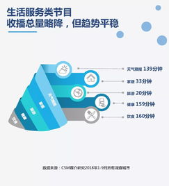 199it 互聯網數據資訊中心的數據服務解析